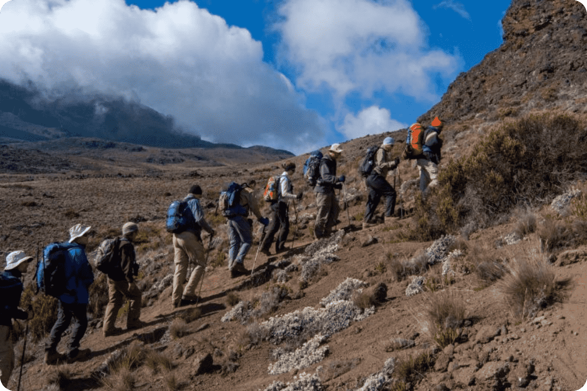 Mt Kilimanjaro Day Trip